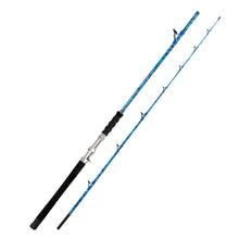 Fiblink 2-Piece Boat Conventional Fishing Rod Portable Spinning/Casting Rod Carbon Fishing Pole