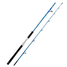 Fiblink 2-Piece Boat Conventional Fishing Rod Portable Spinning/Casting Rod Carbon Fishing Pole