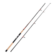 Fiblink Surf Rod Carbon Fiber Surf Fishing Rod Portabel Travel Fishing Spinning Rod 2Piece/3Piece/4Piece Surf Fishing Pole 9ft/10ft/12ft/15ft