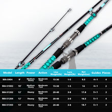 Fiblink Surf Fishing Rod Portable Travel Surf Spinning Rod 2 Piece/3 Piece/4 Piece Carbon Fiber Saltwater Fishing Rod 9'/10'/12'/13'