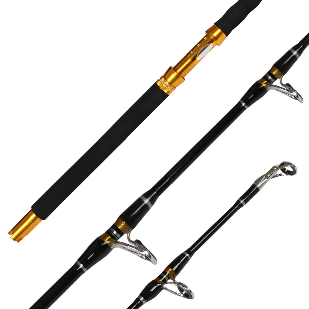 Fiblink 2-Piece Saltwater Spinning Rod Heavy Spin Rod Graphite Portable  Fishing Rod Spinning Fishing Rod